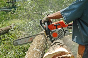 673491_28834377 Chainsaw