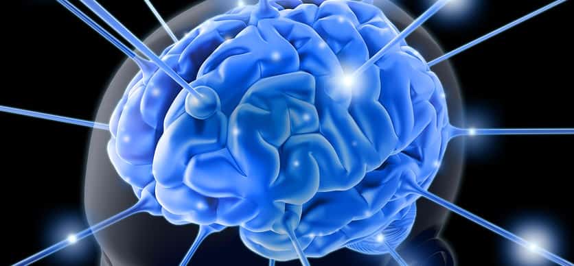 bigstockphoto_The_Brain_1713803