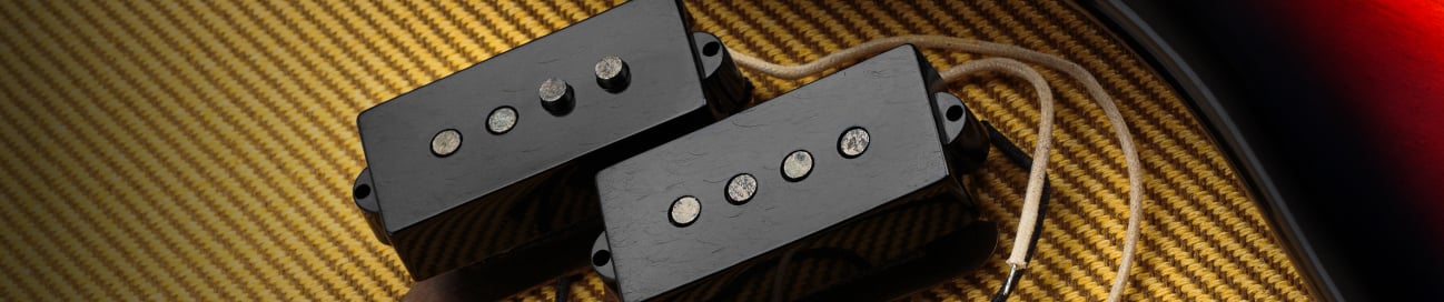 Seymour Duncan PBass AntiquityII Raised A Lifestyle 7 Banner