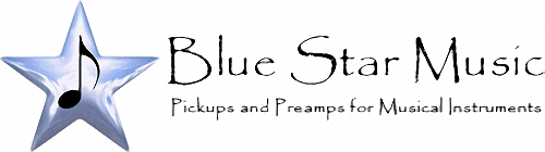 15 Blue Star logo