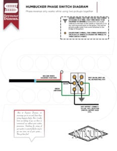 Humbucker Phase Switch Guitar Wiring Diagram