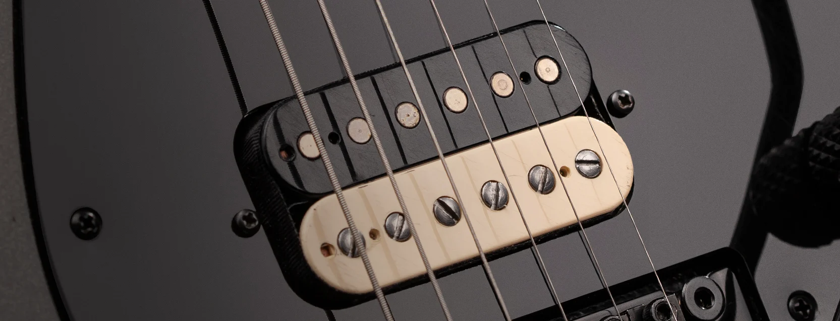 Seymour Duncan Custom 50th Banner